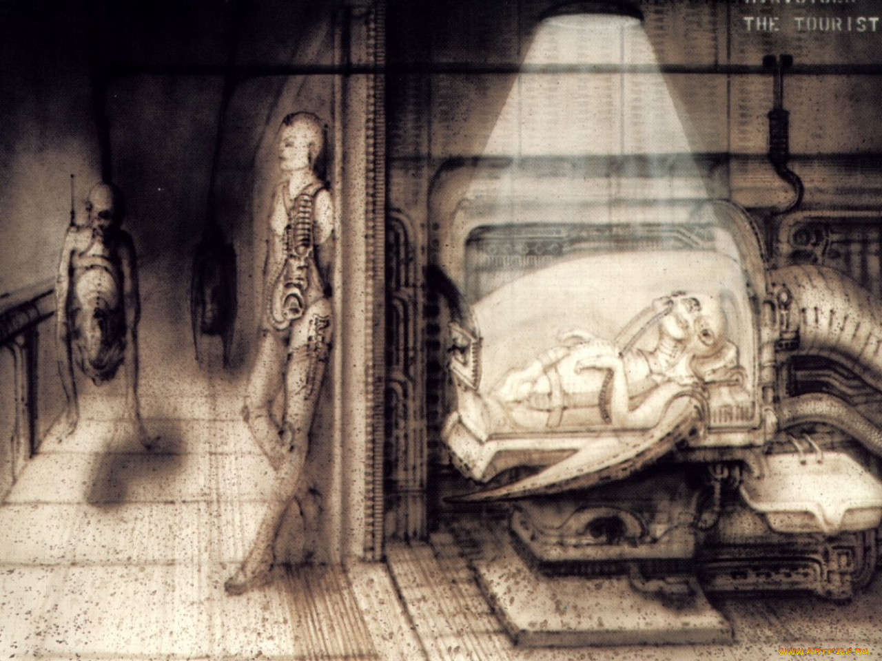 , giger